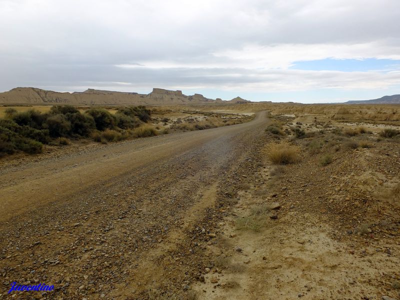 Bardenas Reales