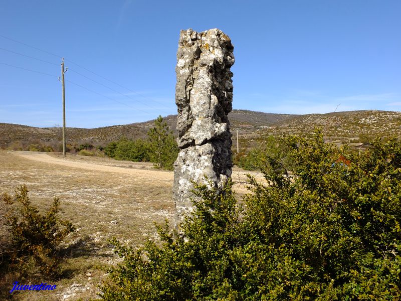 Menhir d'Avernat (Causse de Blandas)