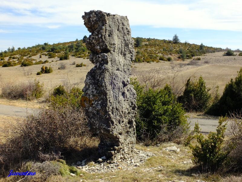 Menhir d'Avernat (Causse de Blandas)