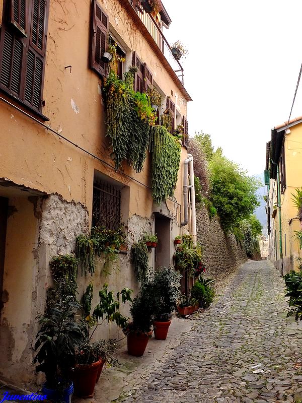 Taggia (Imperia, Liguria)